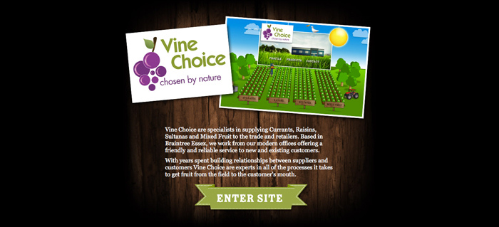 Vine Choice Web Design Slide 1